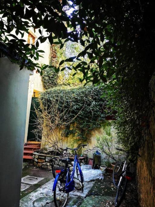 Florentine Style Apartment In San Frediano Florence Exterior photo